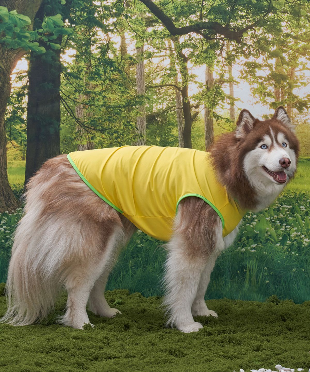 도그아이(DOGI) 강아지여름옷 애견의류 쿨링 베스트 레몬