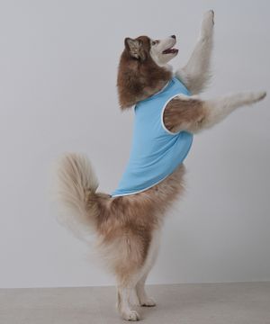 강아지여름옷 애견의류 쿨링 베스트 블루