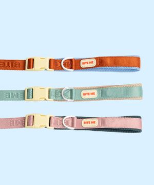 컴포트 핸즈프리 리쉬 v2 (3 colors)