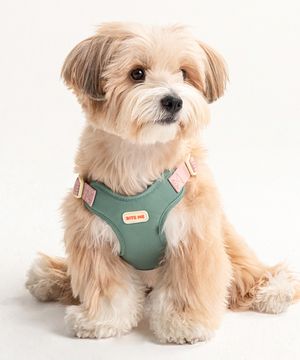 컴포트 하네스 v2 (3 colors)