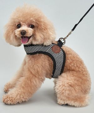 강아지 편안한 하네스