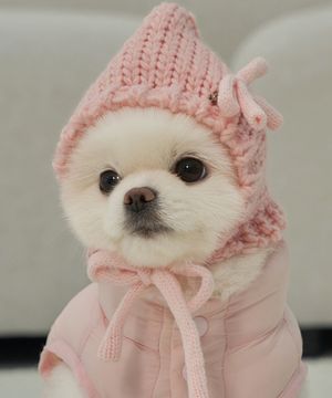 강아지 겨울 모자 코코보넷 핑크