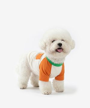 배색 나그랑 티셔츠 (오렌지)