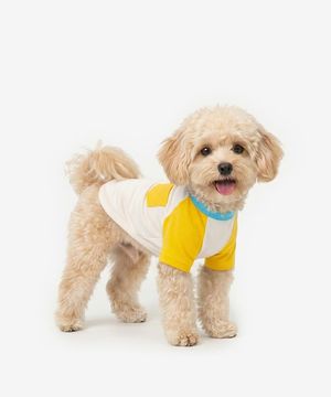 배색 나그랑 티셔츠 (옐로우)