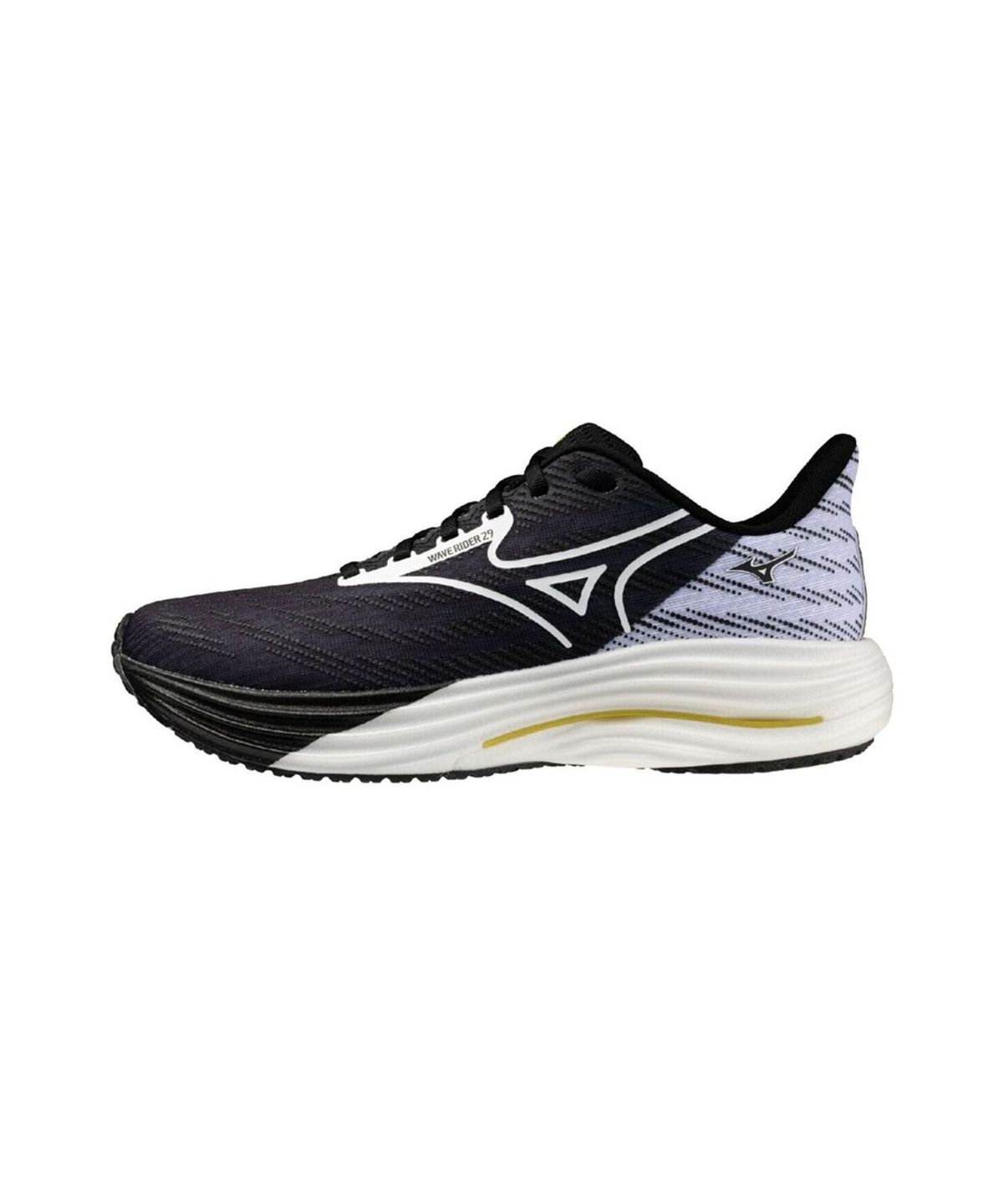 미즈노(MIZUNO) WAVE RIDER 29_J1GC2663