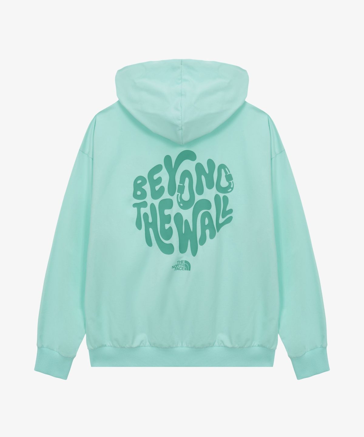 노스페이스(THE NORTH FACE) NM5PS00D 남성 클레이 후디 MINT