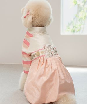 중형견 대형견 강아지 설날 가온공주 한복