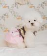 6000594