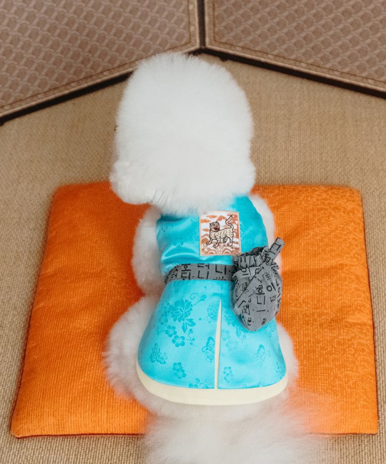 복담 강아지 생활한복 두루마기 (블루)