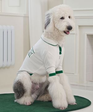 강아지 중형견 대형견 골프포켓티 그린