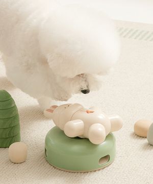 브레이닝 토이 - 스핀앤스낵 토끼 노즈워크 디스펜서 장난감