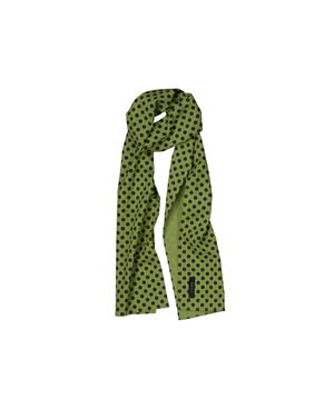 폴카 도트 롱 스카프 (연두)