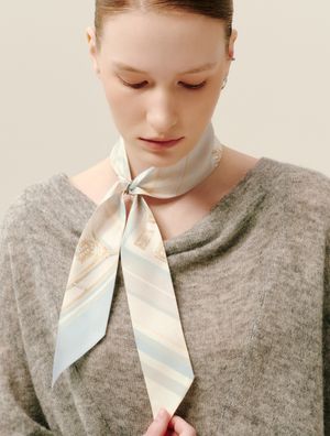 아스터 블루그레이