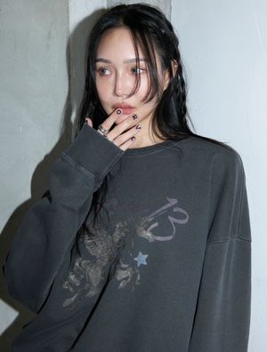 Horse Pigment Set-up Sweatshirt
