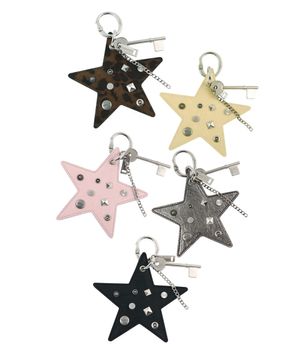 star tag keyring (5colors)