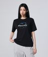 6061145