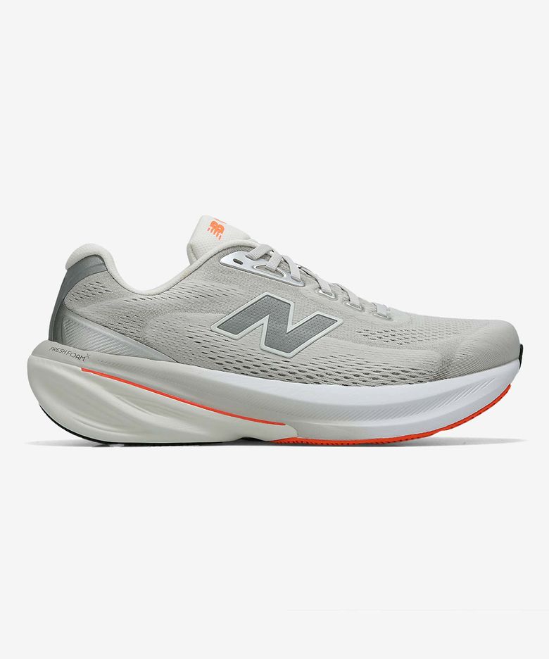 NBPFGS110L / 860 V15 (남성, 2E) (안정화) (L/GRAY)