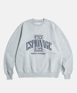 ESP Academy VTG Sweatshirt Grey