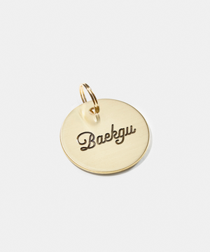 반려동물 맞춤 각인 인식표 Round [M]