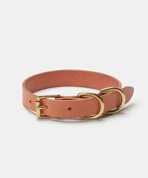 반려동물 가죽 목줄 Canyon [4 sizes]