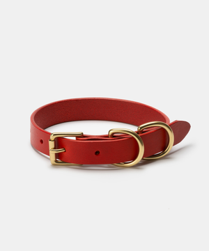 반려동물 가죽 목줄 Red [4 sizes]