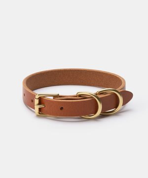 반려동물 가죽 목줄 Tan [4 sizes]