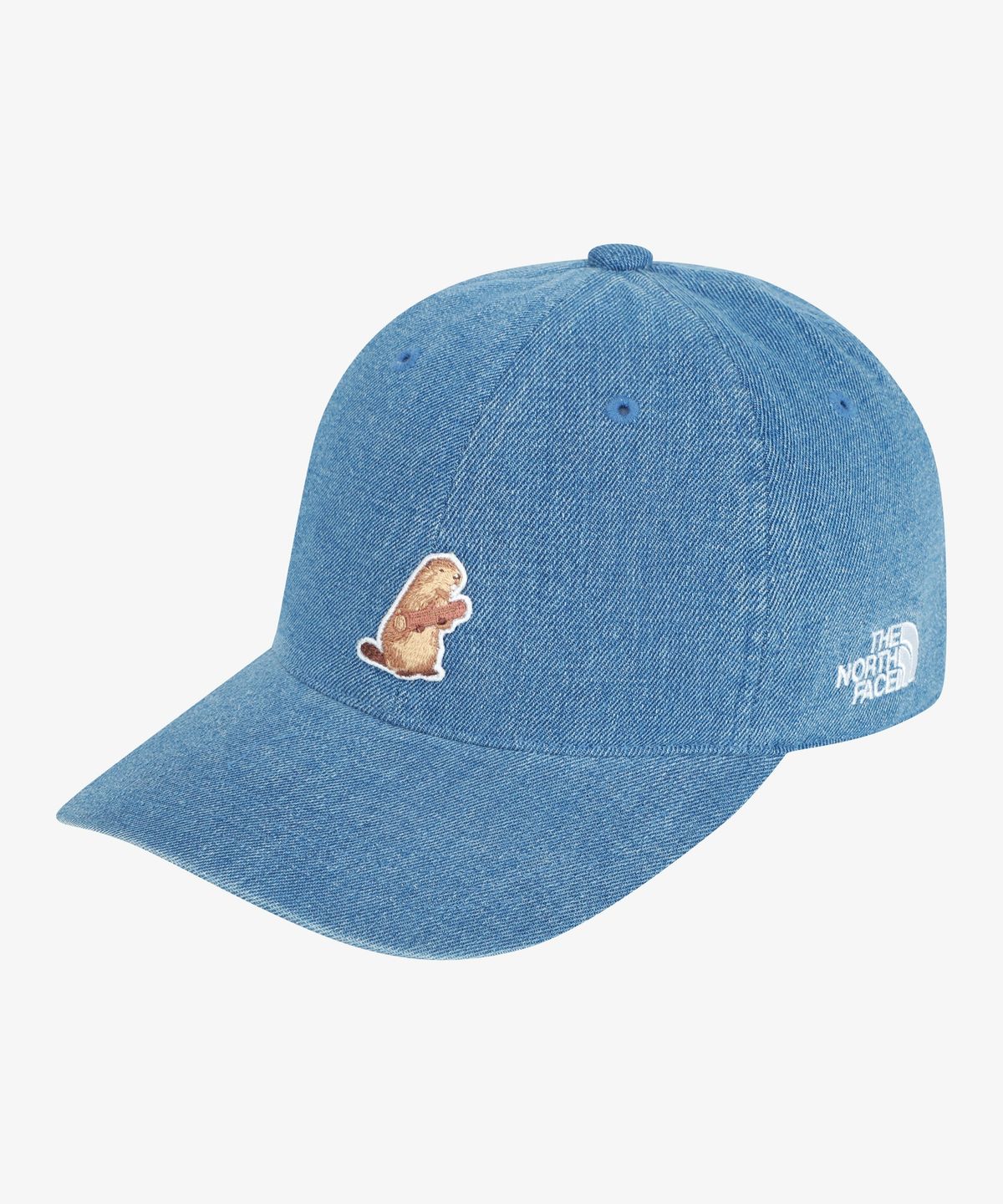 노스페이스(THE NORTH FACE) NE3CS06K 화이트라벨 로고 볼 캡 와펜 BLUE