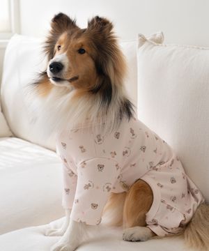 중형견 대형견 강아지 테디 항균 올인원 핑크