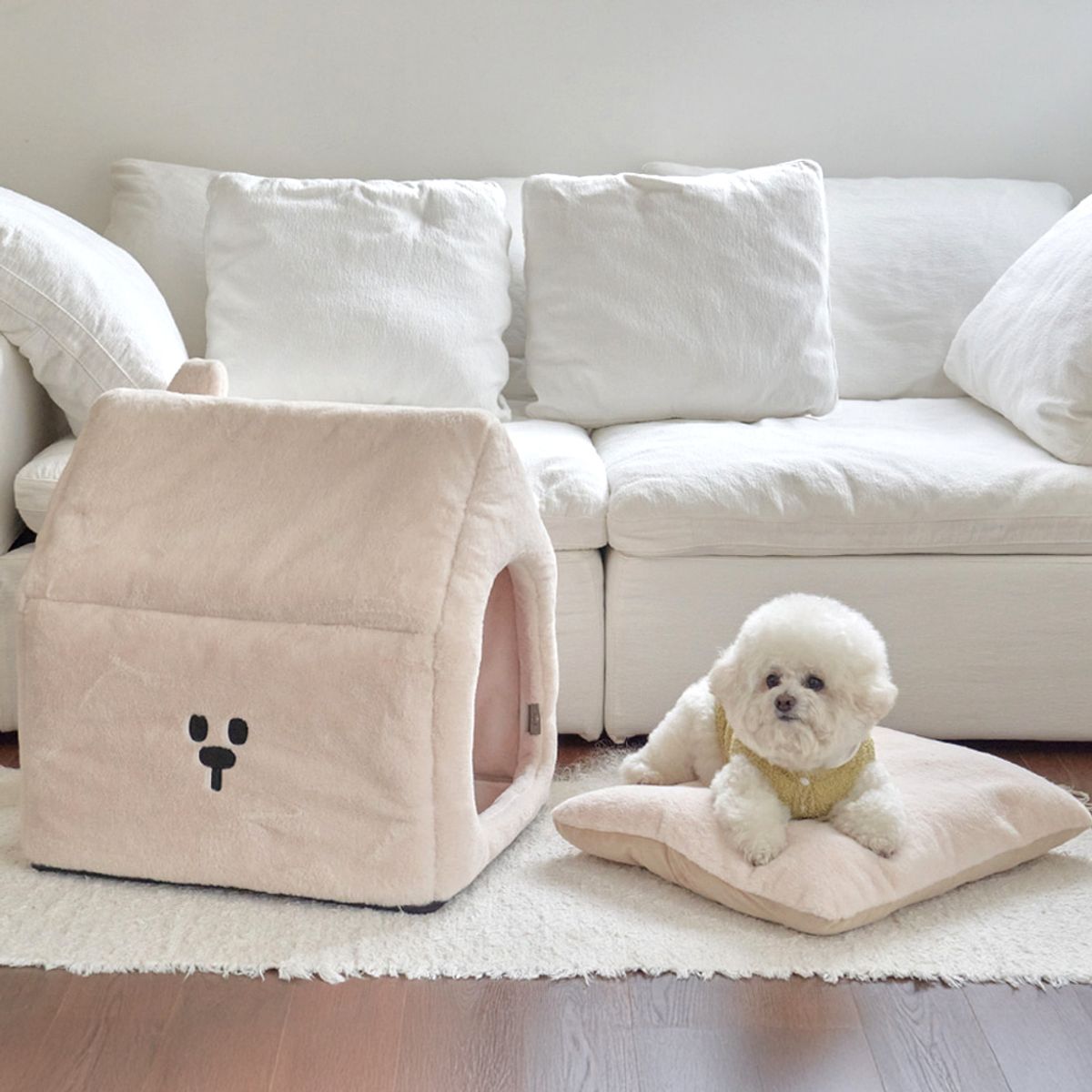 개과천선(GAEKWACHEONSUN) 개과천선 아르벤 강아지 하우스 고양이