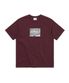 Capture Tee Burgundy