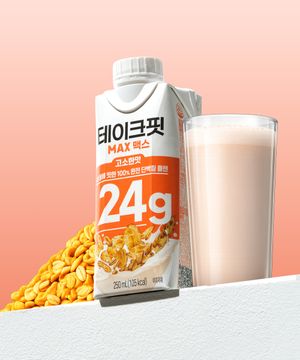 테이크핏 맥스24G 고소한맛 250mL x 12개