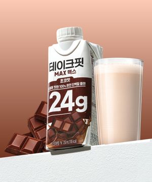 테이크핏 맥스24G 초코맛 250mL x 12개