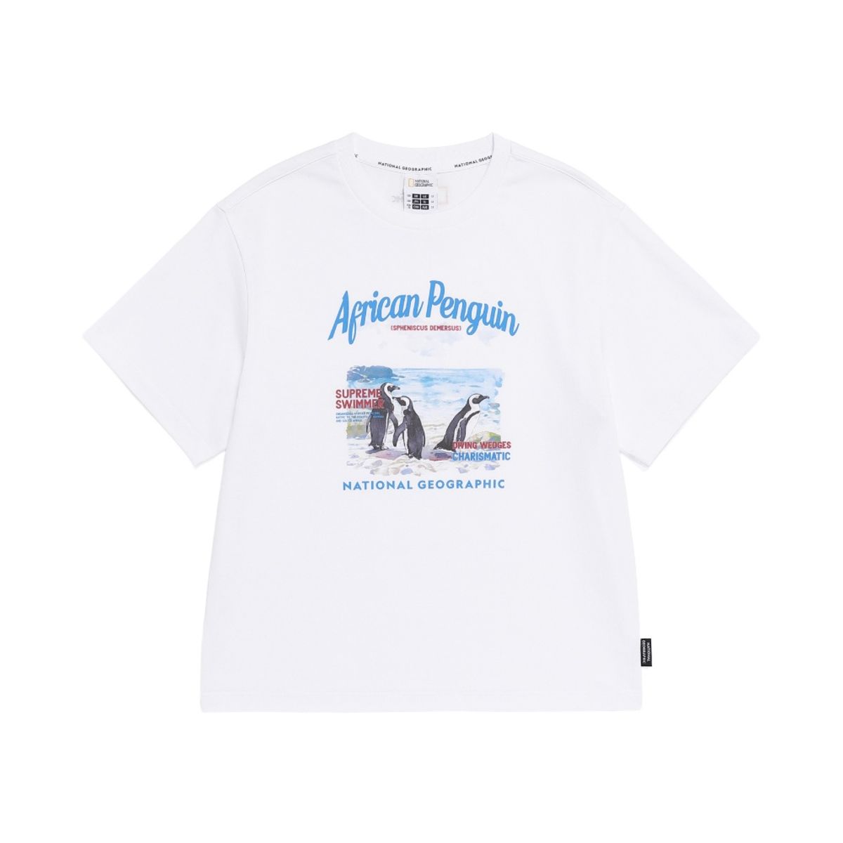 내셔널지오그래픽 키즈(NATIONAL GEOGRAPHIC KIDS) K262UTS950 여행 그래픽 반팔 티셔츠 WHITE
