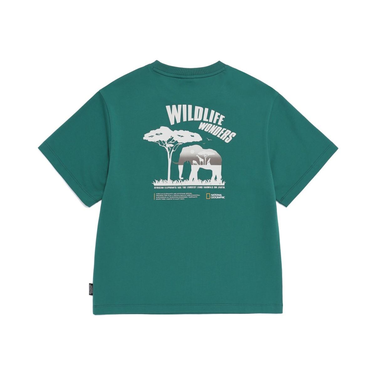 내셔널지오그래픽 키즈(NATIONAL GEOGRAPHIC KIDS) K262UTS940 사파리 그래픽 반팔 티셔츠-4 GREEN