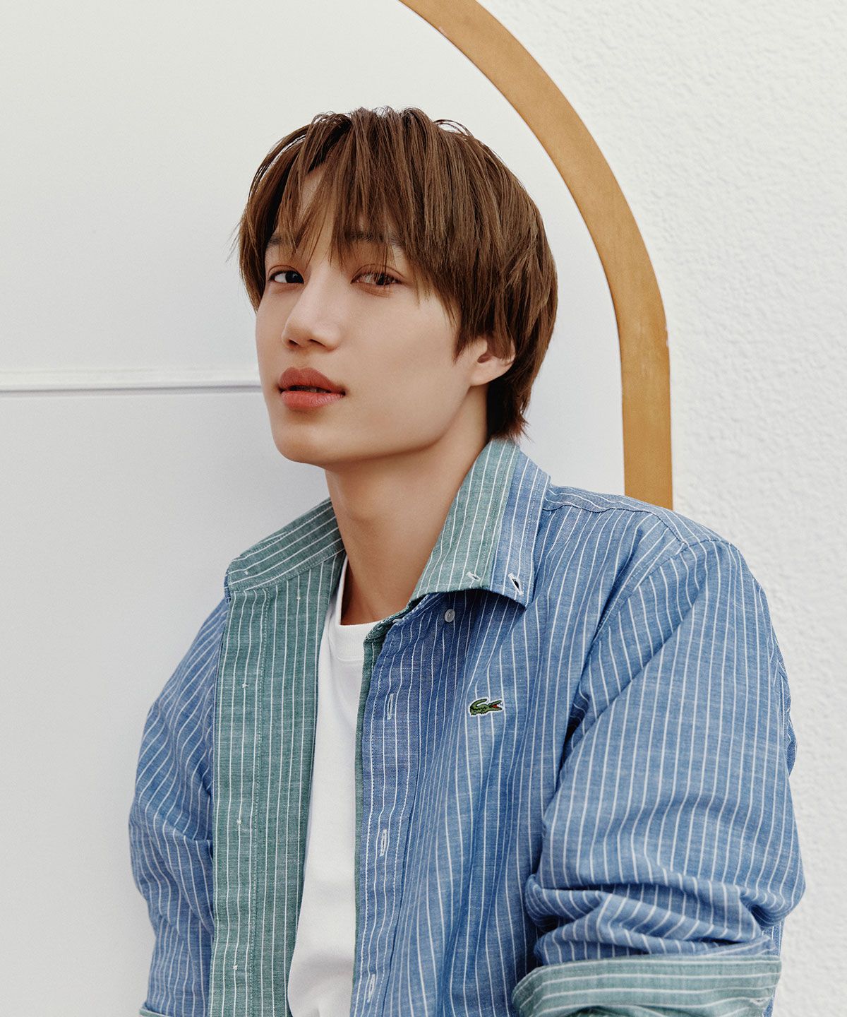라코스테(LACOSTE) 남성 샴브레이 스트라이프 셔츠 CH357E-56G 132
