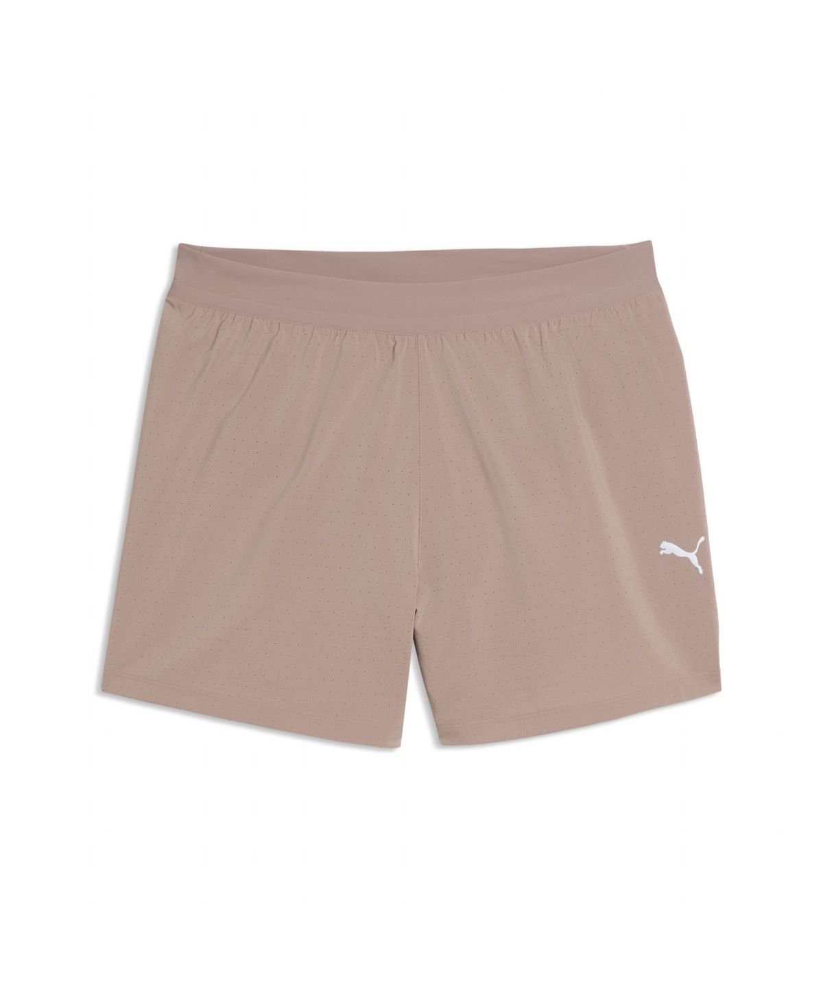 푸마(PUMA) 남성 드림런 5인치 드라이셀 쇼츠 M DREAMRUN 5  DryCELL Short (52909388)