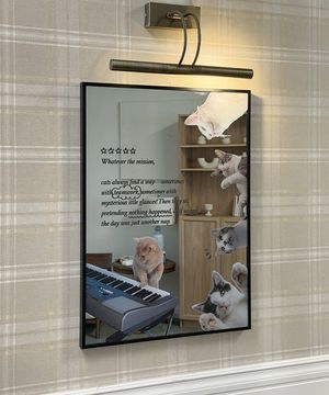 캣플래닛 미러 탁상 벽걸이 거울