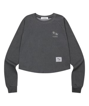 다이론 피그먼트 나그랑 크롭 굴림 롱 슬리브 티 (2컬러)