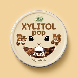 무설탕 수제 틴케이스 자일리톨사탕 시나몬 핀란드산 자일리톨 100%