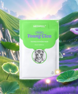 영시카 PDRN 피디알엔 마스크팩 X5매