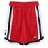 팀 어센틱 베스킷볼 폴리메쉬 쇼츠(K262TP062P) 레드