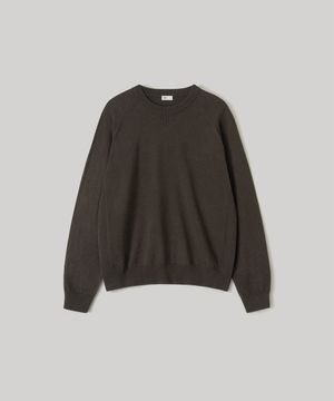Whole Garment Crew-Neck Knit (Dark Brown)