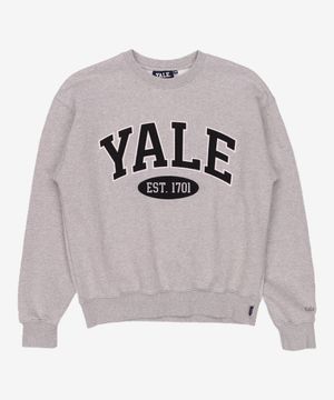 (23FW) 2 TONE ARCH CREWNECK GRAY 0