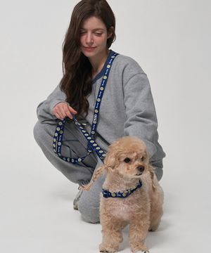 강아지 산책 핸즈프리 리드줄