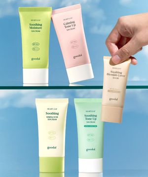 [SET] 어성초 선크림(수분/톤업/그린톤업/무기자차) 50ml + 커버 선비비 25ml