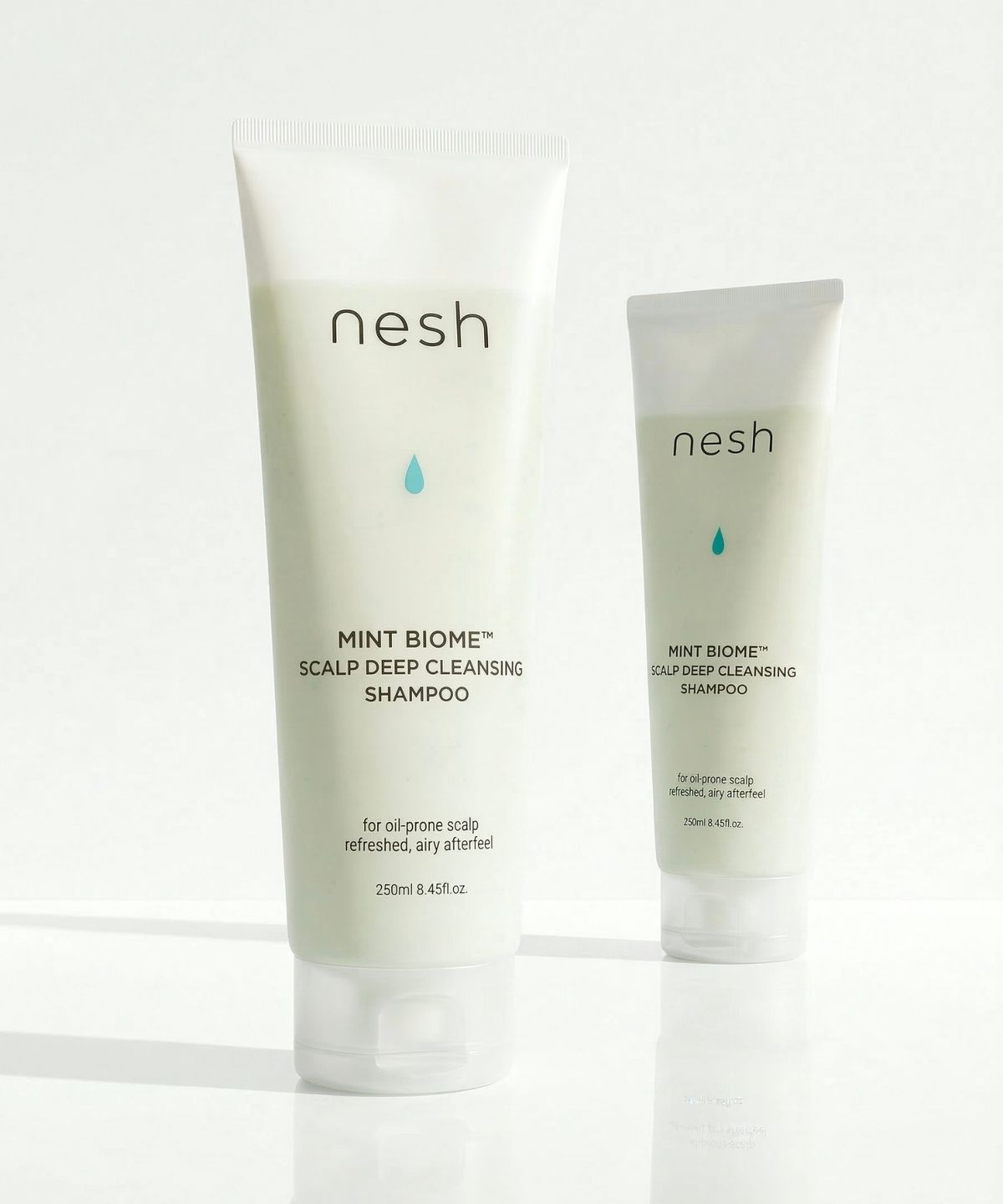 네쉬(NESH) [2종세트] 민트 바이옴 스칼프 딥클렌징 샴푸 250ml x 2개