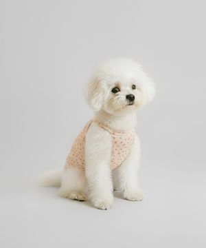 011A 헤이즐 퍼피