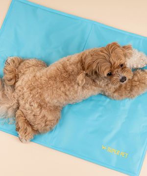 강아지 고양이 쿨매트 단품