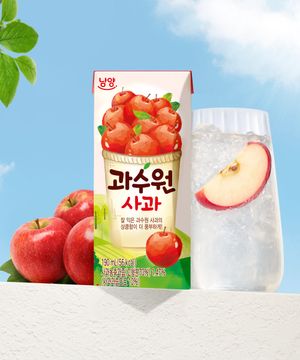 과수원 사과 190ml x 24개