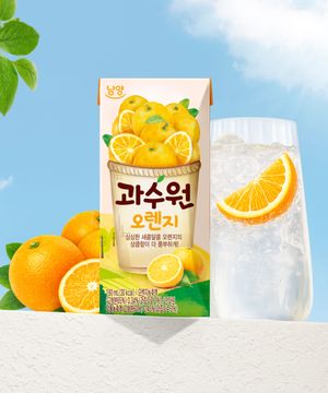 과수원 오렌지 190ml x 24개